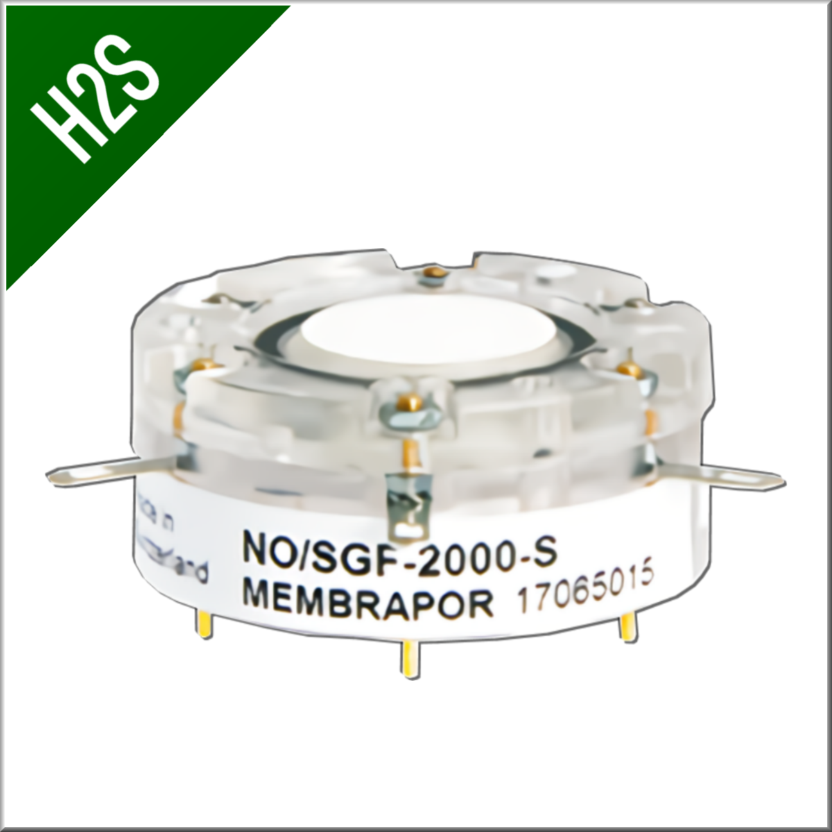 Сенсор H₂S, 2000 / 4000 ppm (опция 10479)